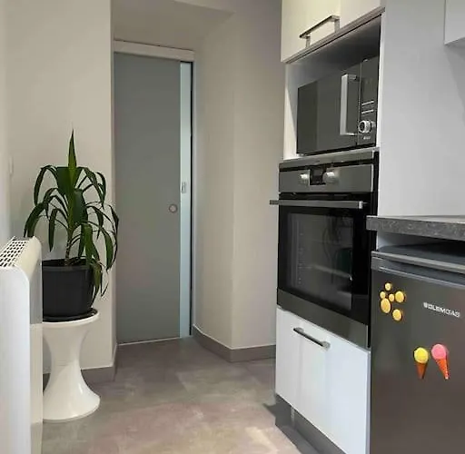 Le Cocon Des Ducs, Appartement Centre Historique