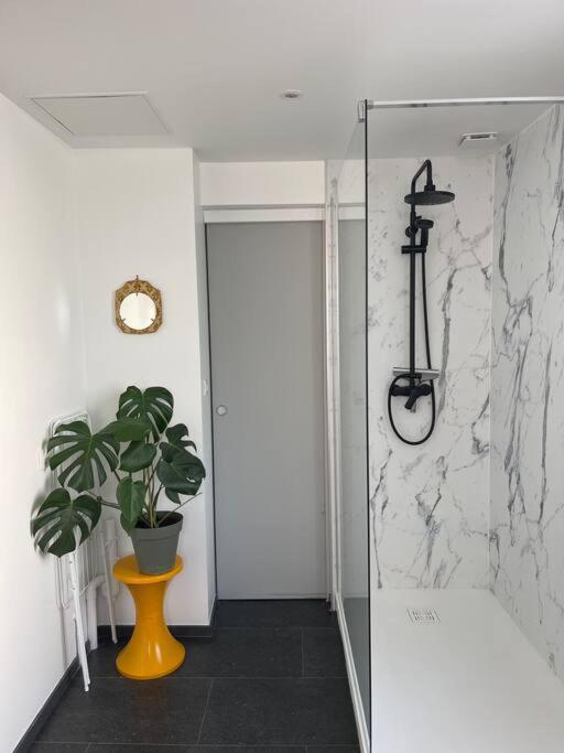 Le Cocon Des Ducs, Centre Historique Apartment