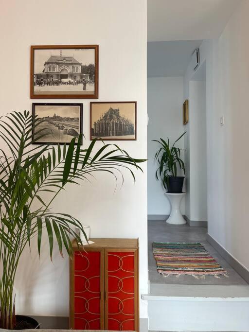 Le Cocon Des Ducs, Centre Historique Apartment *